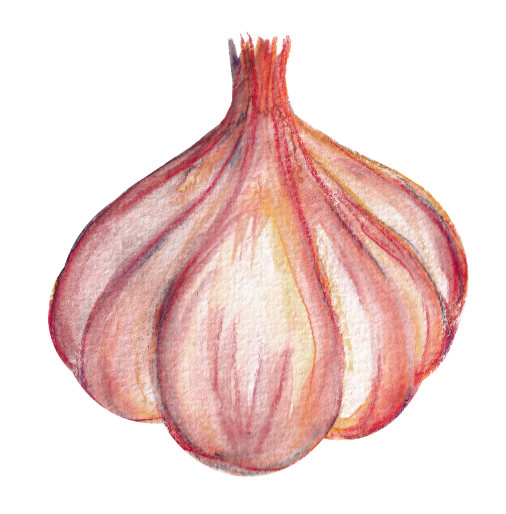 garlic, vegetables, cooking-5118641.jpg